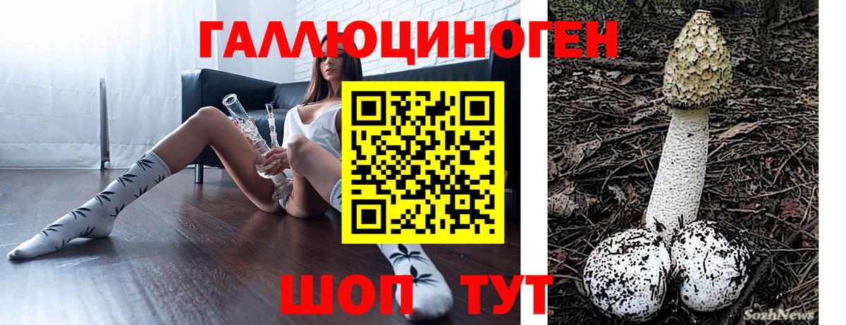 Галлюциногенные грибы ЛСД Черногорск